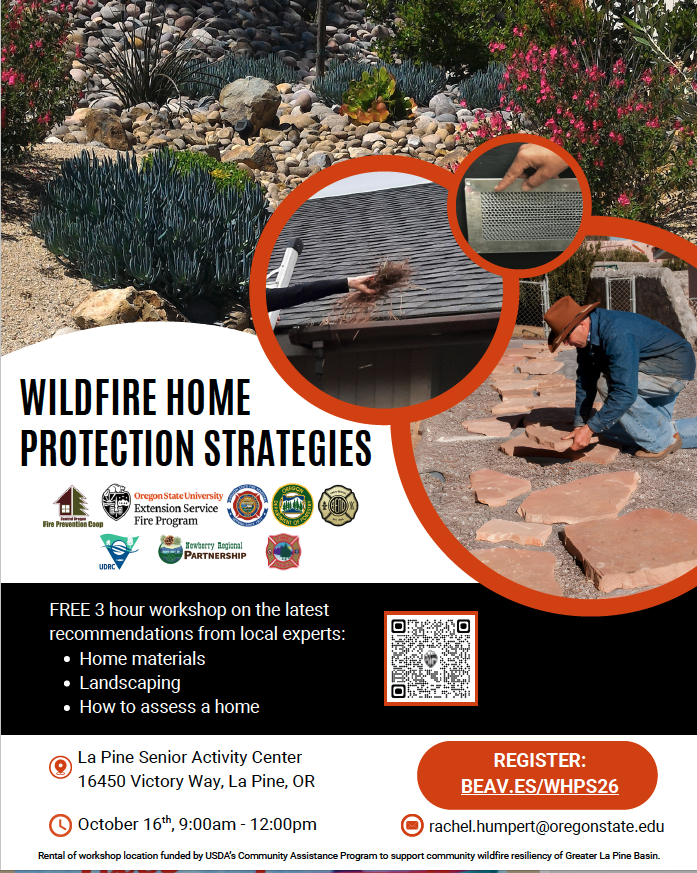 Wildfire Home Protection Strategies